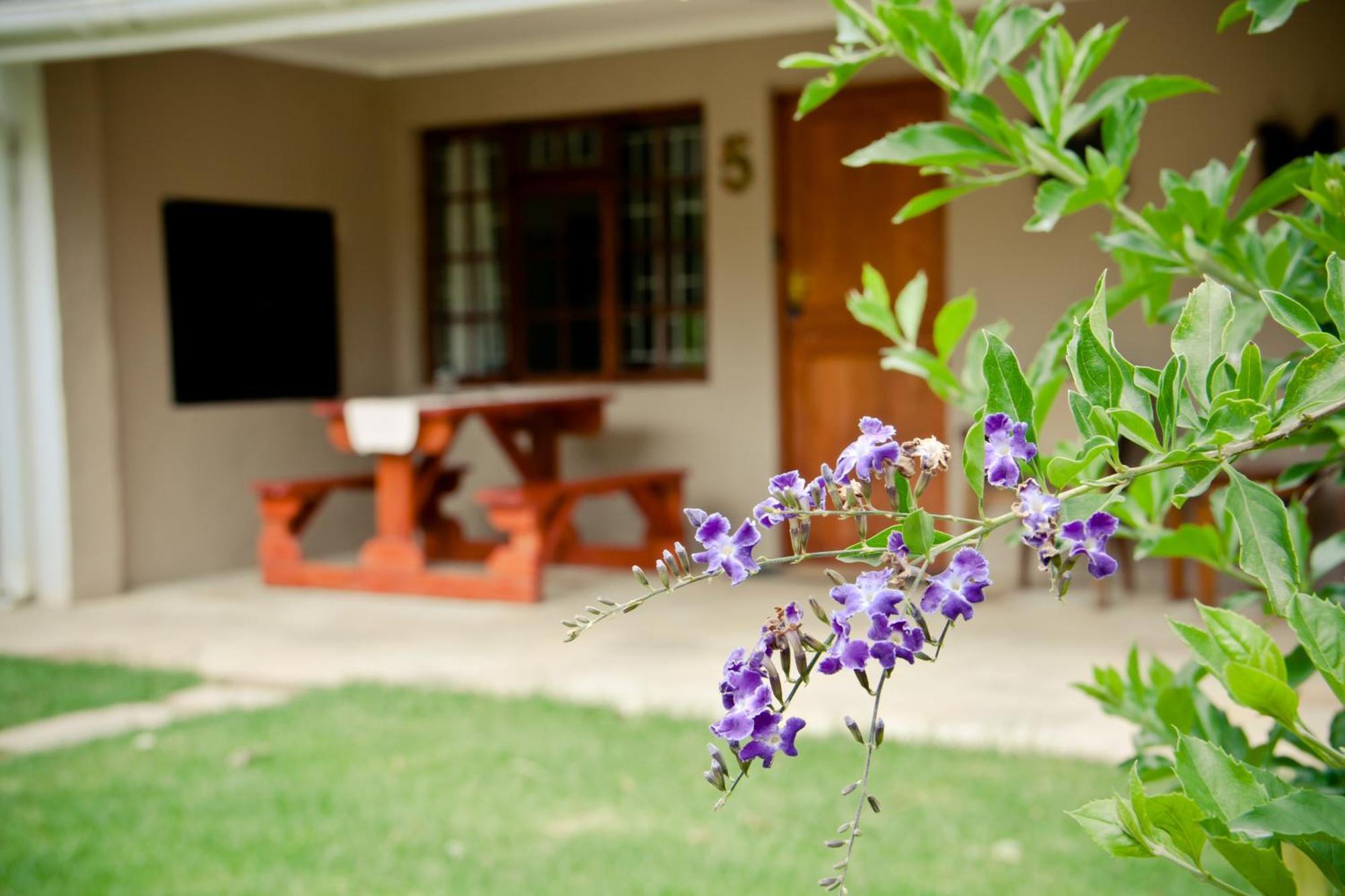 Villa De Old Drift Guest Farm Addo Zimmer foto